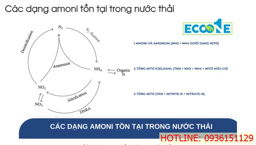 Các dạng amoni tồn tại trong nước thải